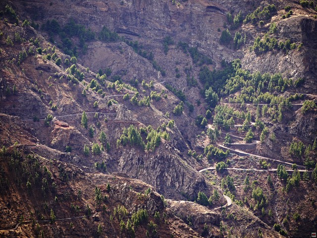 img00055.jpg