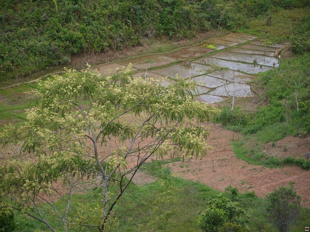 img00014.jpg