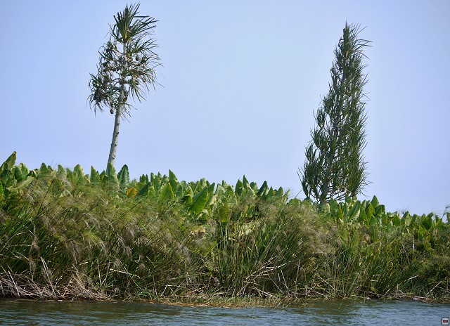 img00052.jpg