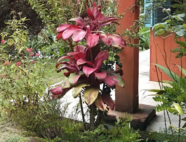 img00051.jpg