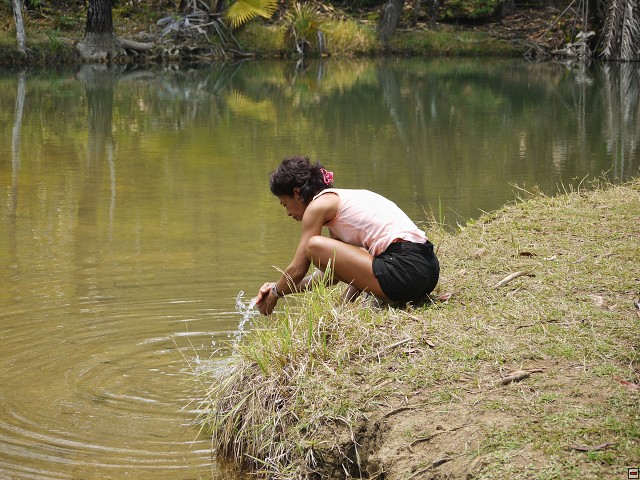 img00035.jpg
