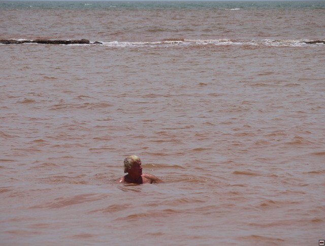 img00043.jpg