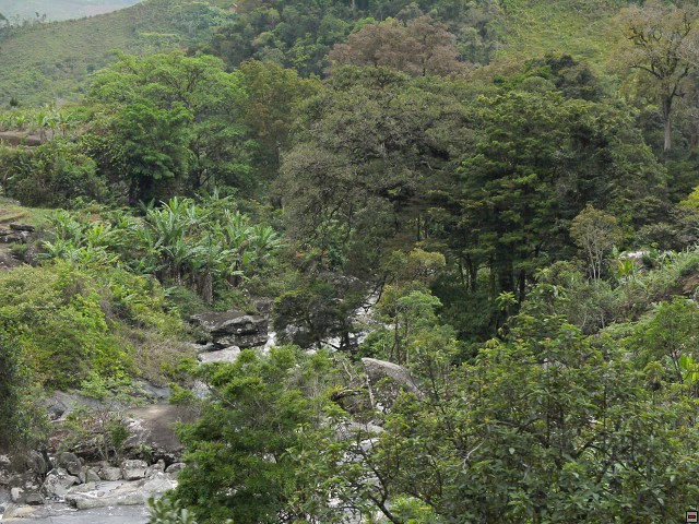 img00010.jpg