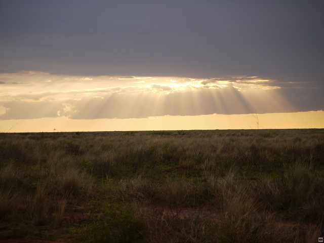 img00029.jpg