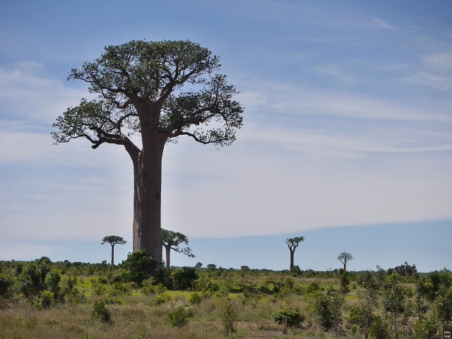 img00033.jpg
