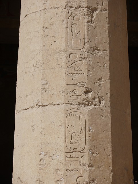 img00005.jpg