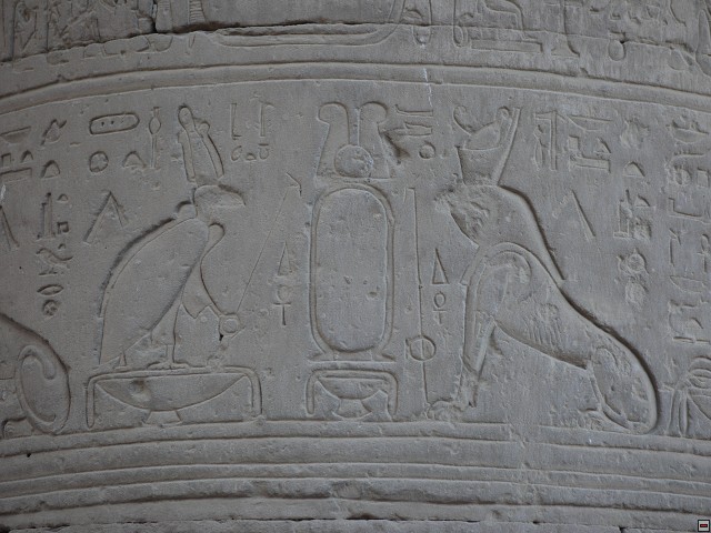 img00007.jpg