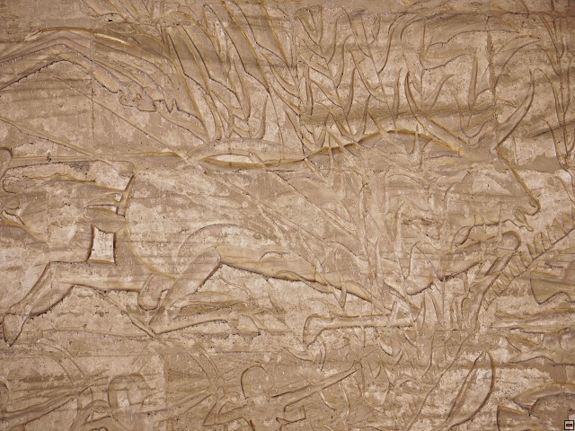 img00021.jpg