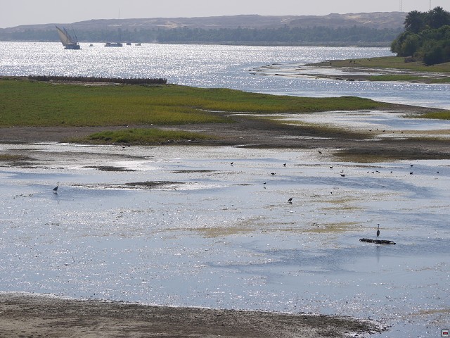 img00018.jpg