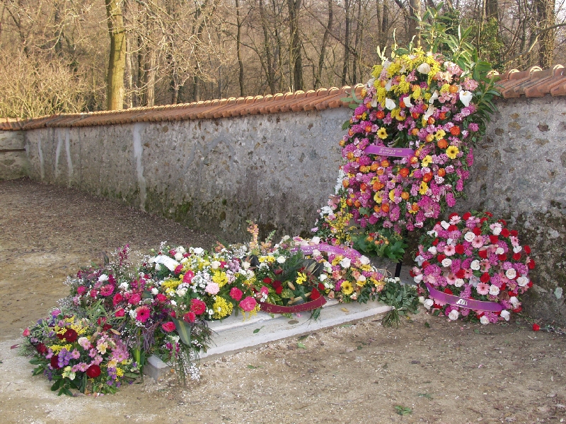 fleurs