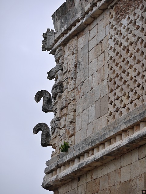 img00080.jpg