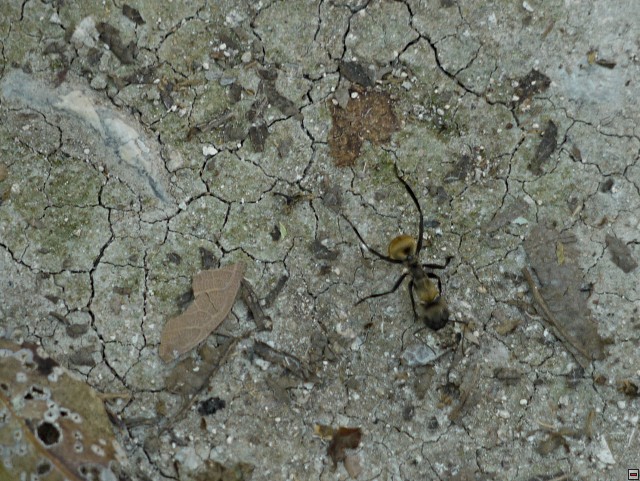 img00014.jpg