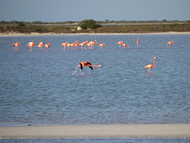 img00044.jpg