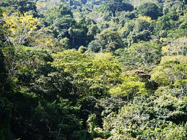 img00082.jpg